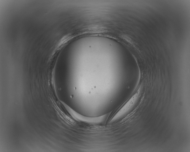 X0000054381451200507291105