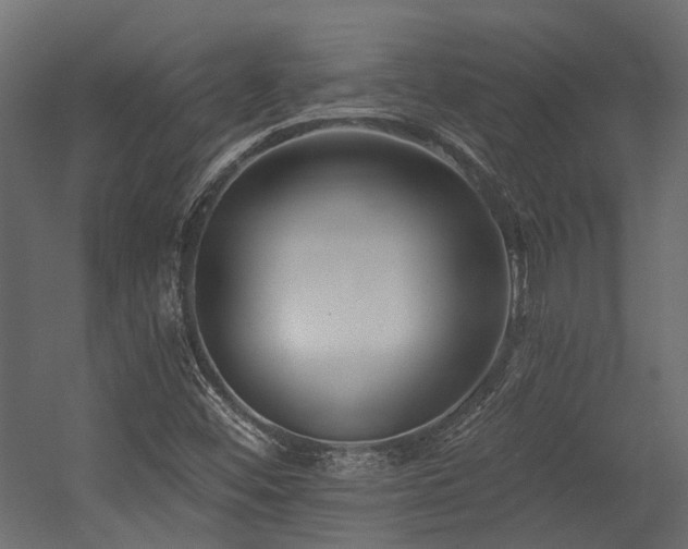 X0000054381452200507291105
