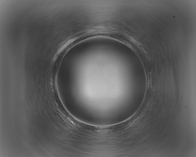 X0000054381453200507291105