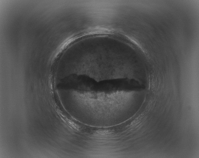 X0000054381455200507291105
