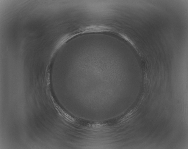 X0000054381459200507291105
