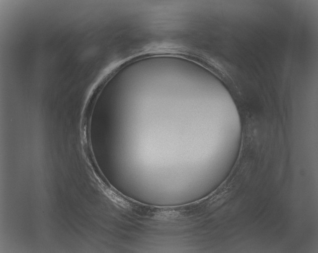 X0000054381462200507291105