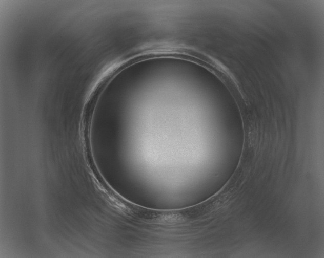 X0000054381464200507291104