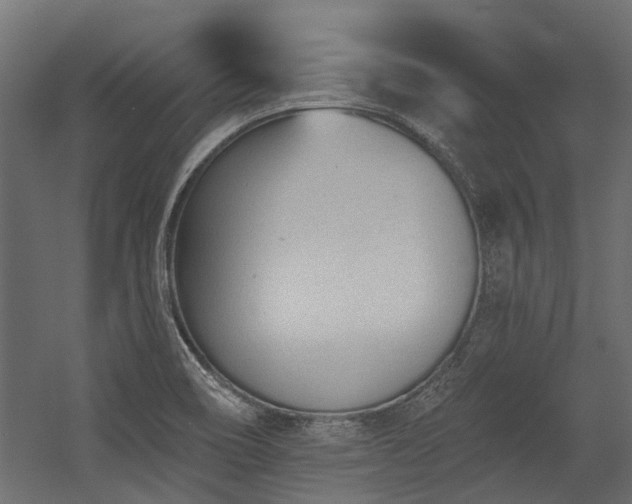 X0000054381466200507291104