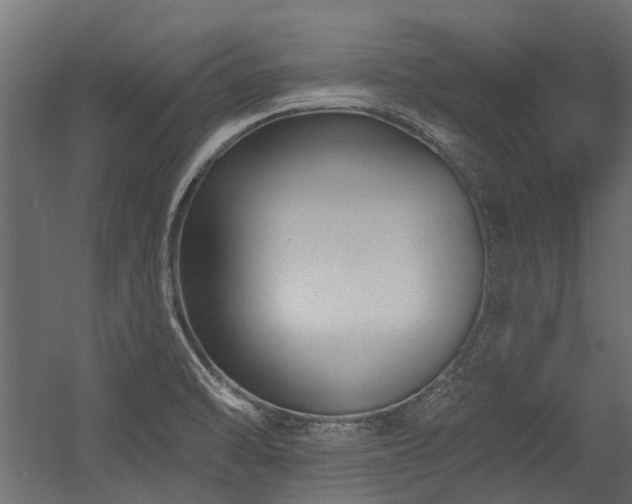 X0000054381470200507291104