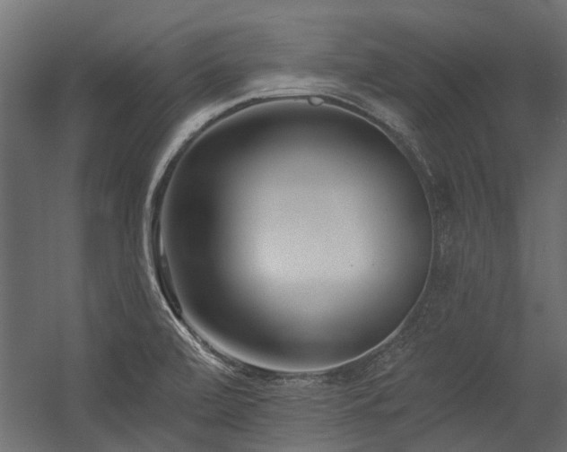 X0000054381472200507291104