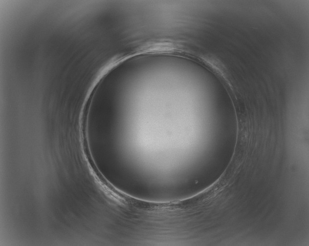 X0000054381475200507291104