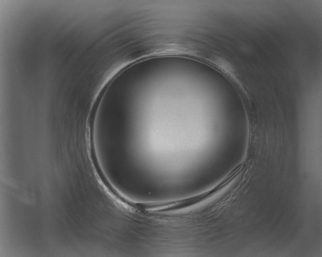 X0000054381476200507291104