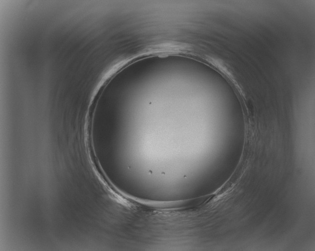 X0000054381477200507291104