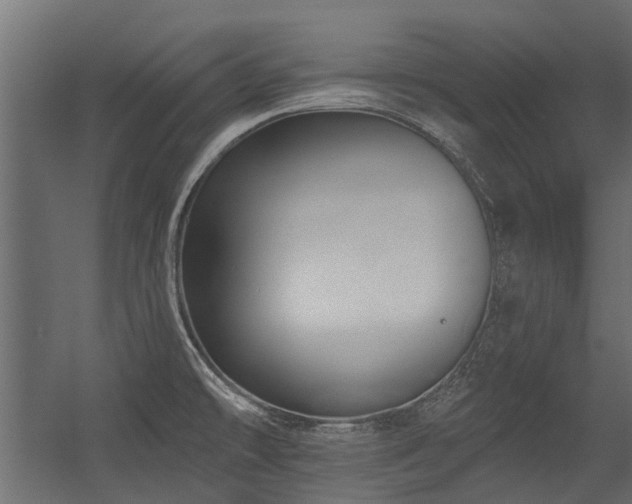 X0000054381478200507291104