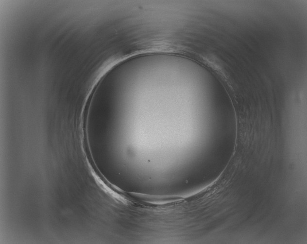 X0000054381479200507291104