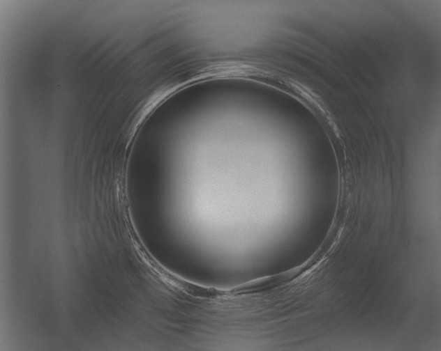 X0000054381481200507291104