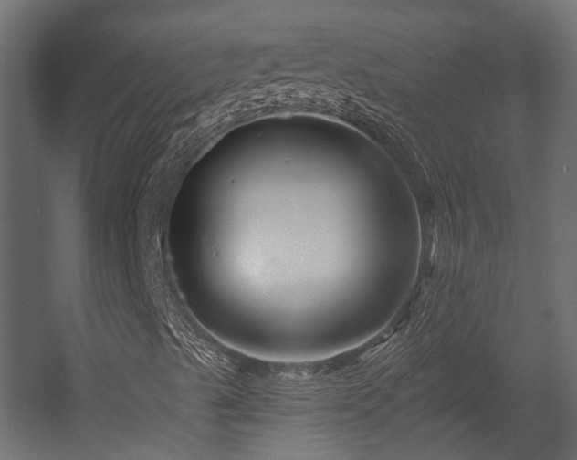 X0000054381489200507291103