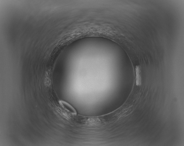 X0000054381491200507291103