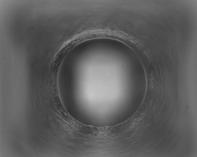 X0000054381494200507291103