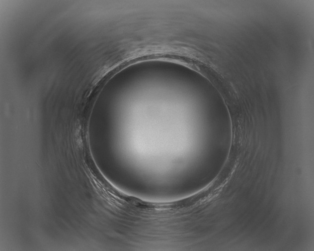 X0000054381497200507291103