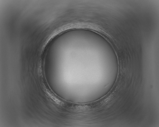 X0000054381498200507291103