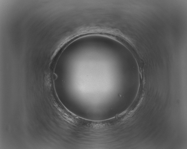 X0000054381501200507291103