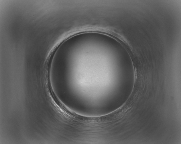 X0000054381504200507291103