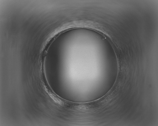X0000054381507200507291104