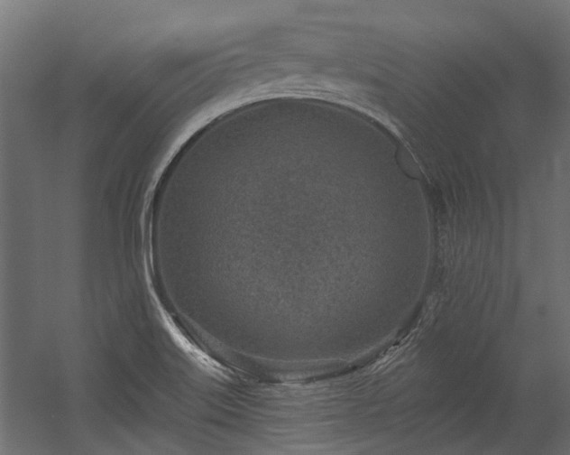 X0000054381515200507291104