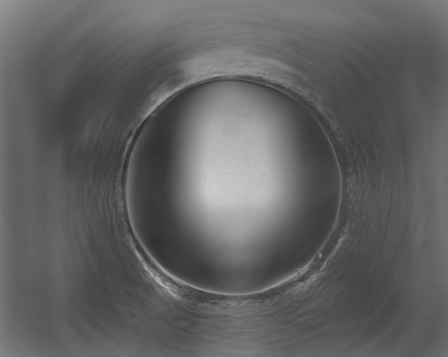 X0000054381521200507291104