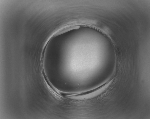 X0000054381524200507291104