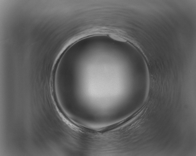 X0000054381531200507291104