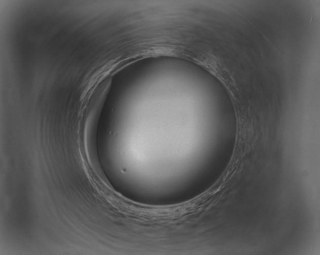 X0000054380001200508011306