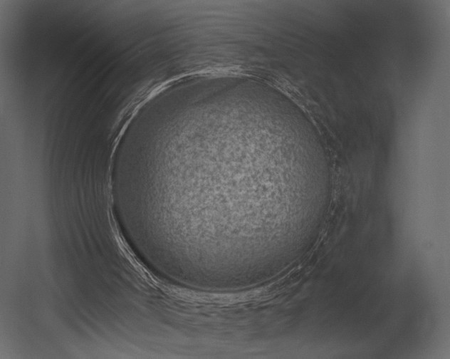 X0000054380002200508011306