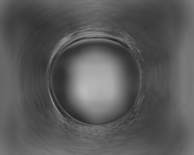 X0000054380003200508011306