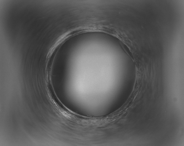 X0000054380005200508011306