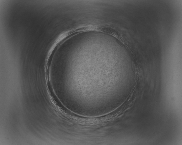 X0000054380006200508011306