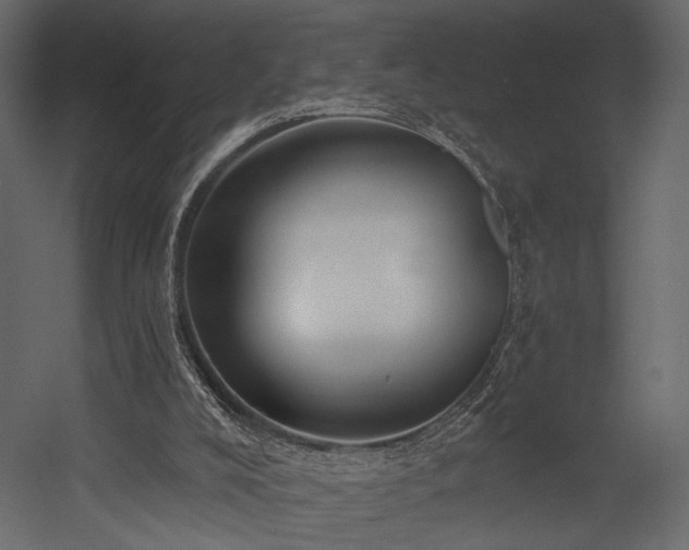 X0000054380008200508011306