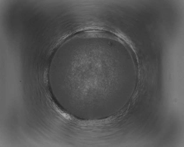 X0000054380009200508011306