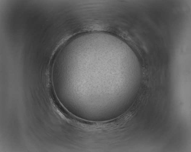 X0000054380012200508011305