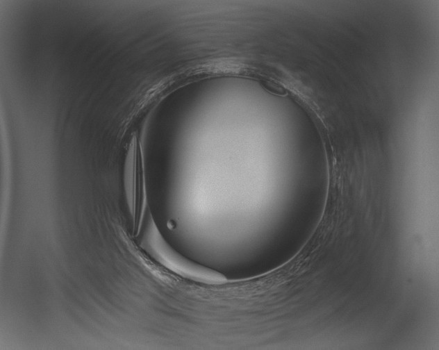 X0000054380013200508011305