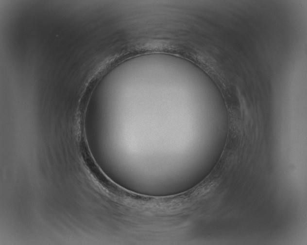 X0000054380016200508011305