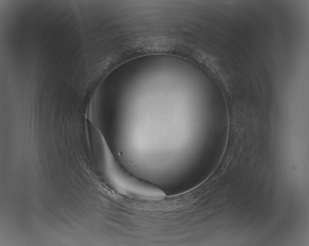 X0000054380017200508011305
