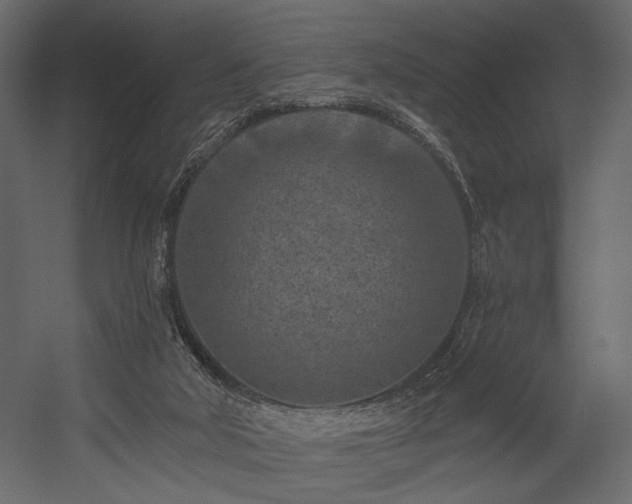 X0000054380018200508011305