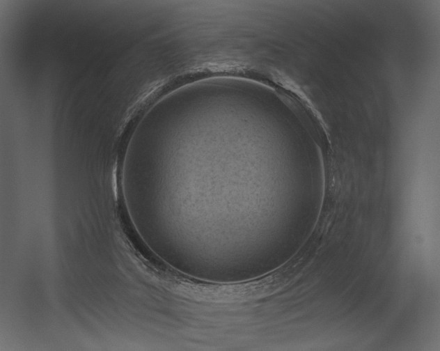 X0000054380019200508011305
