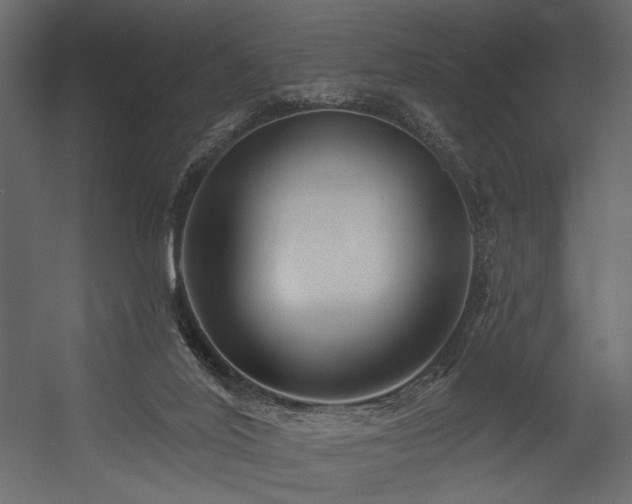 X0000054380020200508011305