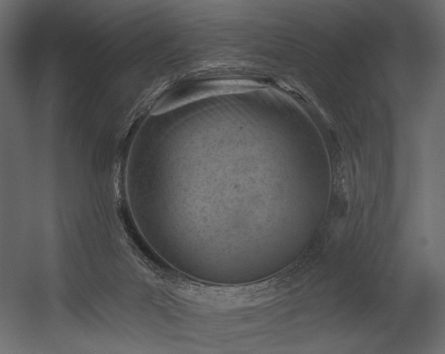 X0000054380023200508011305