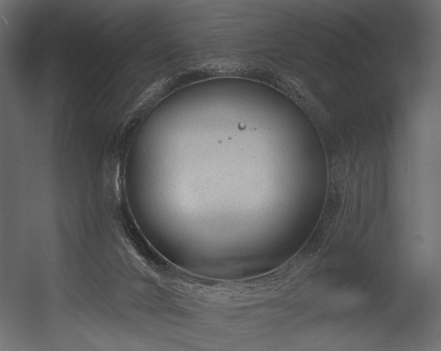 X0000054380024200508011305