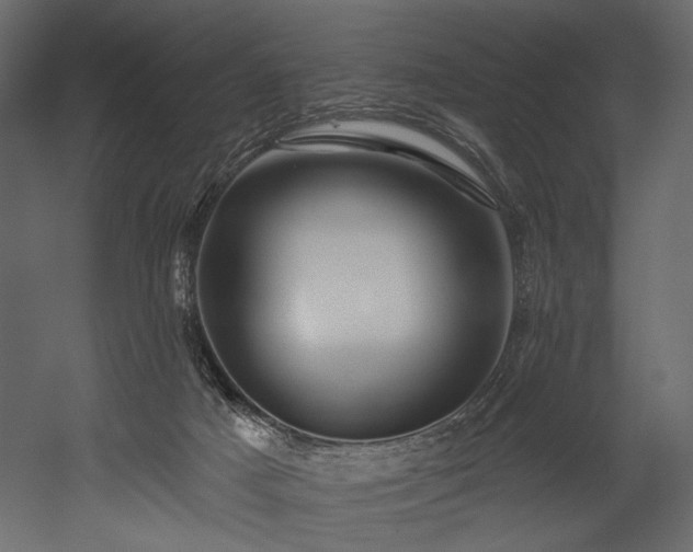 X0000054380025200508011305