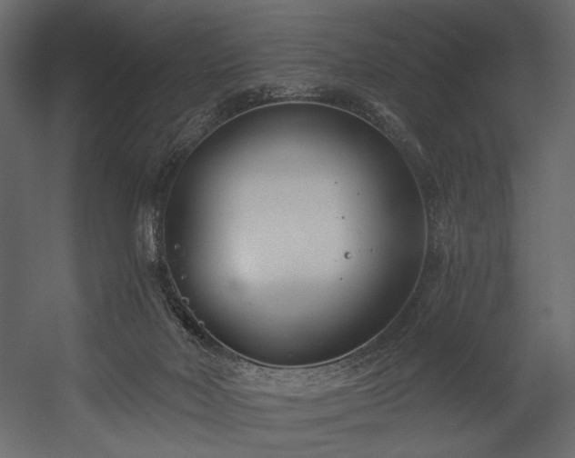 X0000054380026200508011305