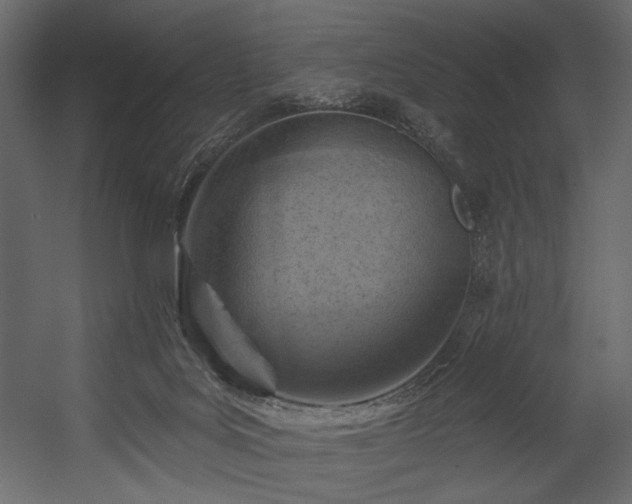 X0000054380027200508011305