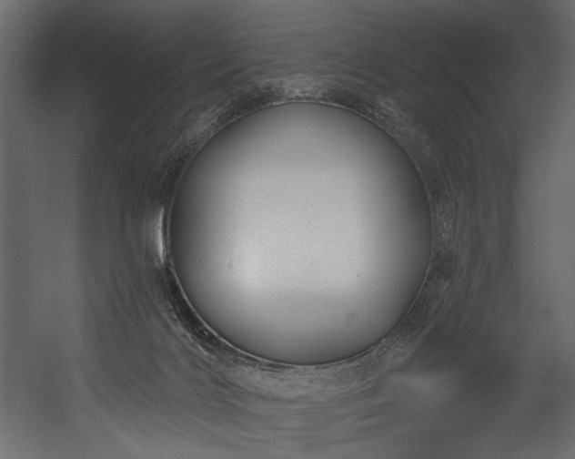 X0000054380028200508011305