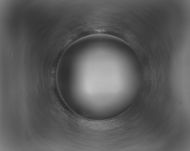 X0000054380030200508011305
