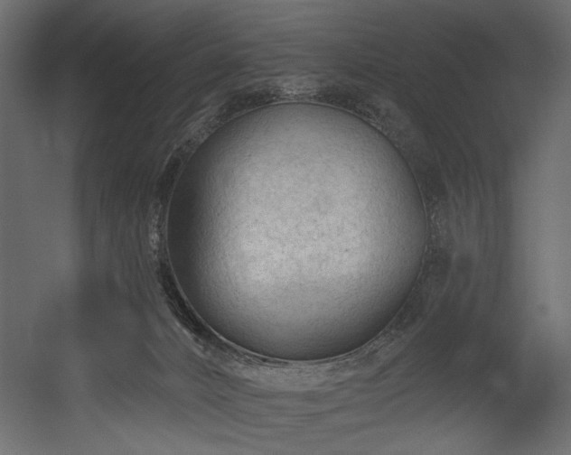 X0000054380032200508011305